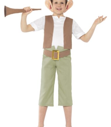 Boys Roald Dahl BFG Costume