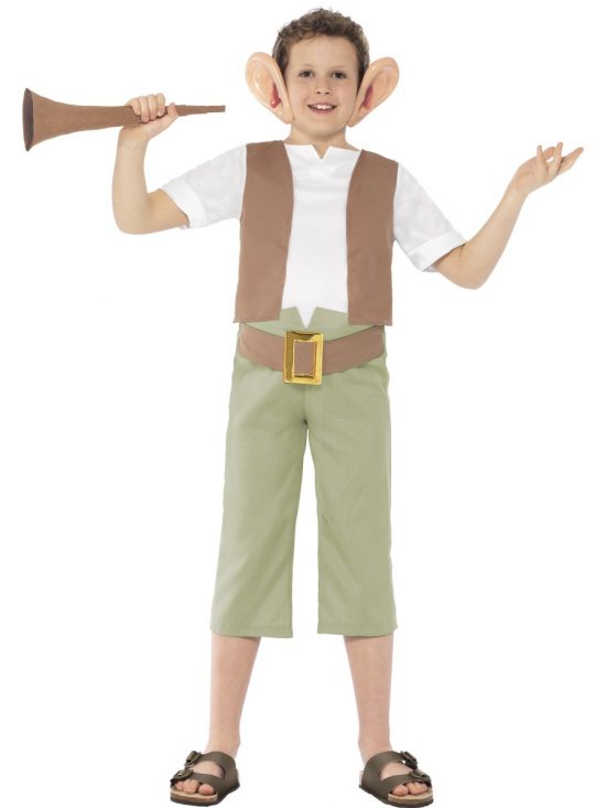 Boys Roald Dahl BFG Costume