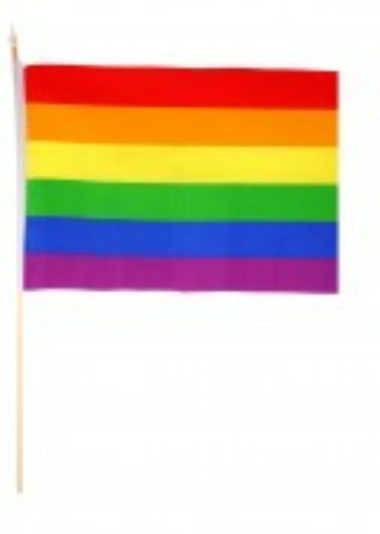 Rainbow Hand Flag Waver 29 x 17cm Great little accessory for Pride Events