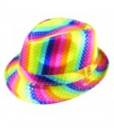 Rainbow Trilby Hat