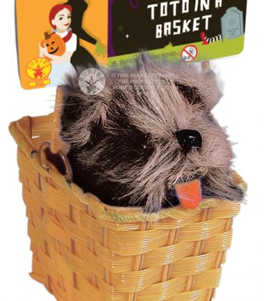 Toto in A Basket