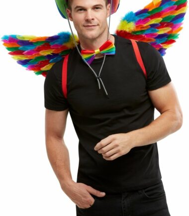 Rainbow Feather Wings