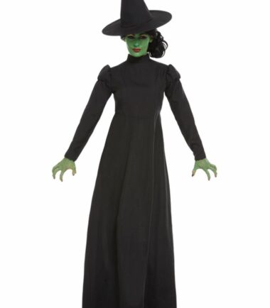 Wicked Witch Costume