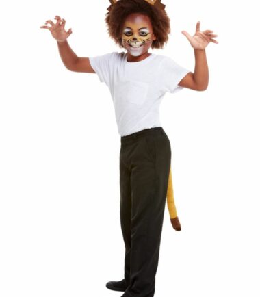 Kids Lion Make Up Kit