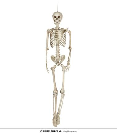 Full Skeleton 160cm