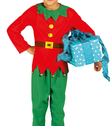 Boys Elf Costume