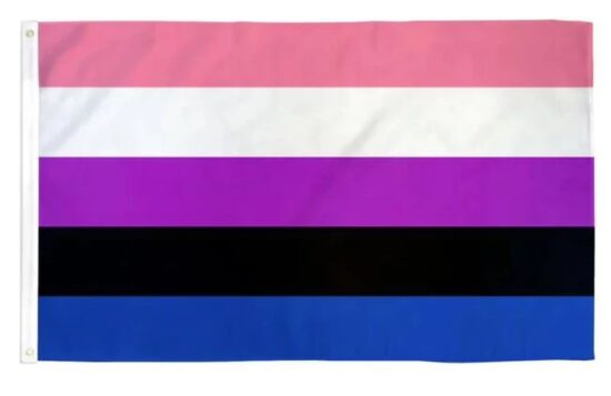 Gender Fluid Flag 5x3