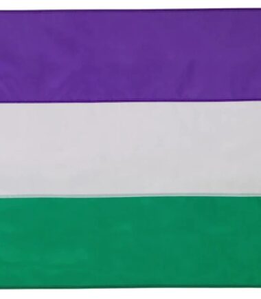 Gender Queer Flag 5x3