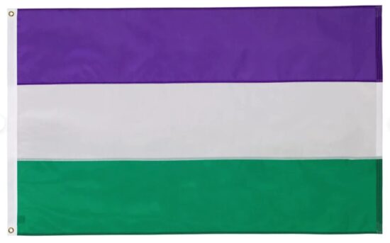 Gender Queer Flag 5x3