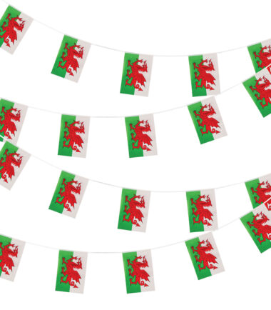 Wales Bunting 10 metre 20 Flags