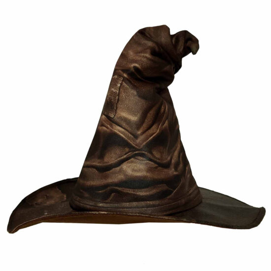 Harry Potter Sorting Hat